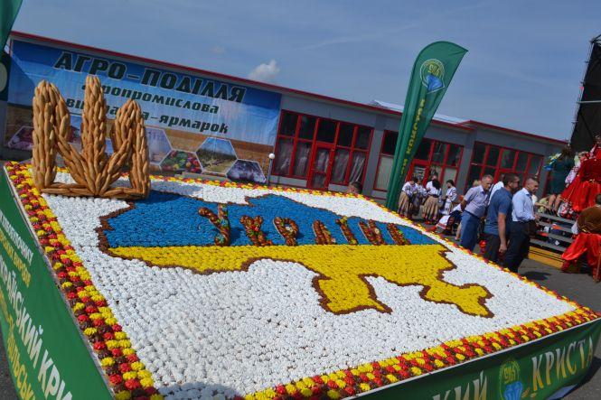 Пили настоянки й співали пісні: що було на Агро Поділля 2019 (ФОТО), фото №11 на сайті vsim.ua