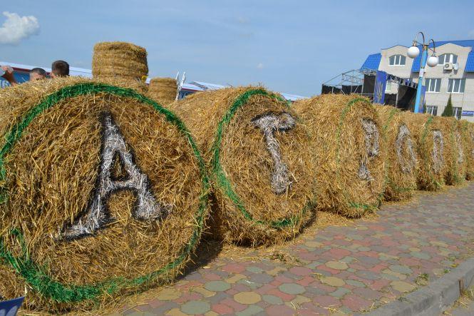 Пили настоянки й співали пісні: що було на Агро Поділля 2019 (ФОТО), фото №9 на сайті vsim.ua