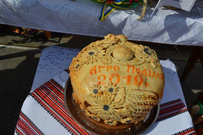 Пили настоянки й співали пісні: що було на Агро Поділля 2019 (ФОТО), фото №7 на сайті vsim.ua