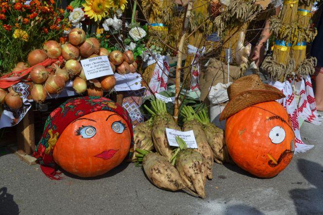 Пили настоянки й співали пісні: що було на Агро Поділля 2019 (ФОТО), фото №6 на сайті vsim.ua