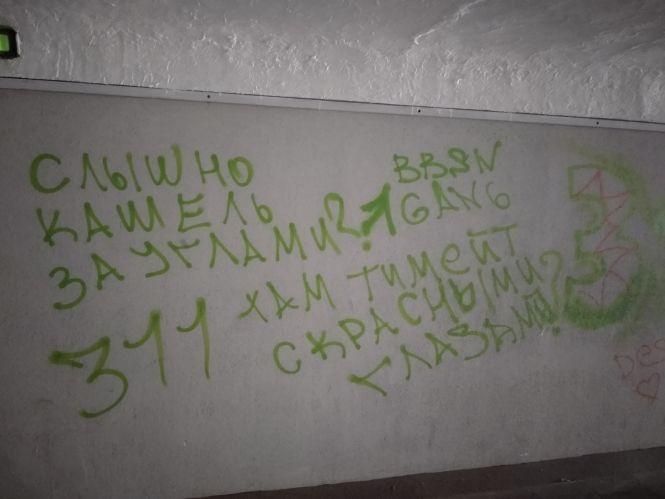 Наскельний живопис: підземний перехід, на ремонт якого витратили минулоріч більше 1 млн грн, розмалювали. Фотофакт, фото №4 на сайті 20minut.ua