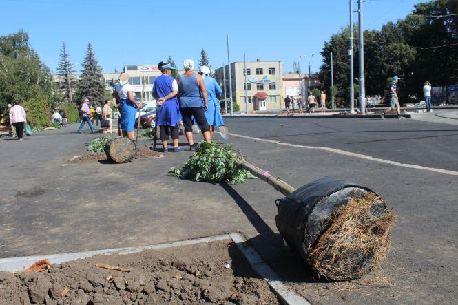 Новини Вінниці - фото з Замостянська-2 стає вулицею кленів. Їх посадять аж 162! Замостянська-2 стає вулицею кленів. Їх посадять аж 162!, фото №5 на сайті 20minut.ua