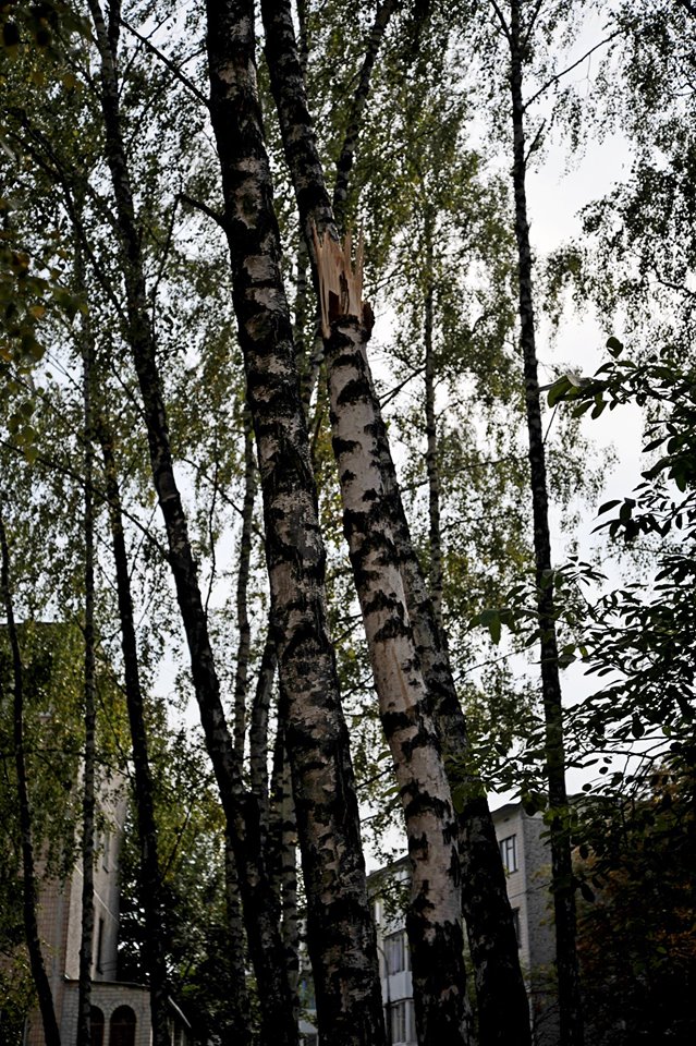 Ð¡Ð²ÑÑÐ»Ð¸Ð½Ð° Ð²ÑÐ´ ÐÐ°ÑÑÐ½Ð¸ ÐÐµÑÑÐ³.