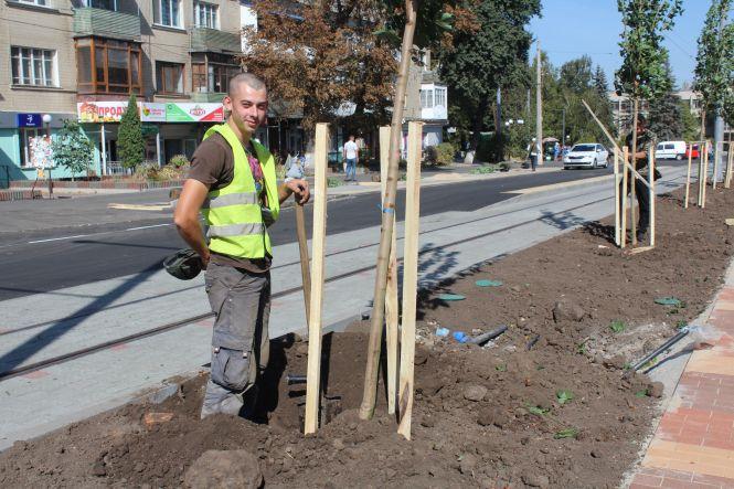 Новини Вінниці - фото з Замостянська-2 стає вулицею кленів. Їх посадять аж 162! Замостянська-2 стає вулицею кленів. Їх посадять аж 162!, фото №2 на сайті 20minut.ua