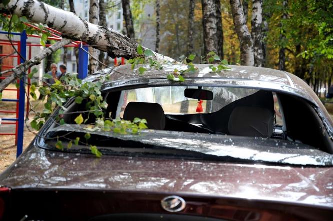 Ð¡Ð²ÑÑÐ»Ð¸Ð½Ð° Ð²ÑÐ´ ÐÐ°ÑÑÐ½Ð¸ ÐÐµÑÑÐ³.