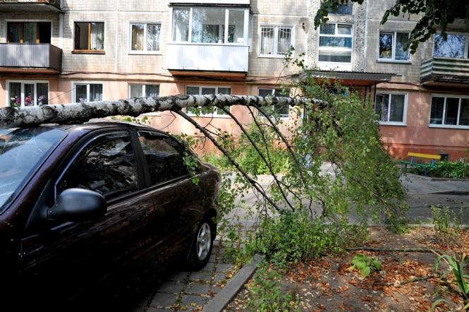 Ð¡Ð²ÑÑÐ»Ð¸Ð½Ð° Ð²ÑÐ´ ÐÐ°ÑÑÐ½Ð¸ ÐÐµÑÑÐ³.