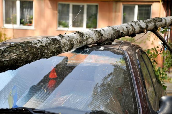 Ð¡Ð²ÑÑÐ»Ð¸Ð½Ð° Ð²ÑÐ´ ÐÐ°ÑÑÐ½Ð¸ ÐÐµÑÑÐ³.