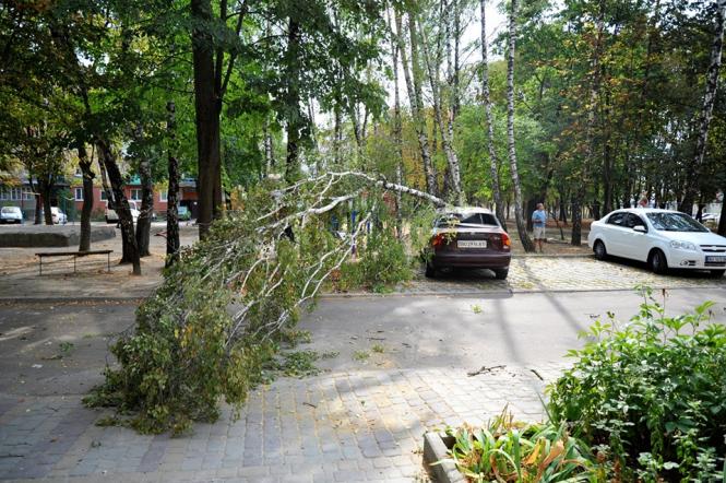 Ð¡Ð²ÑÑÐ»Ð¸Ð½Ð° Ð²ÑÐ´ ÐÐ°ÑÑÐ½Ð¸ ÐÐµÑÑÐ³.