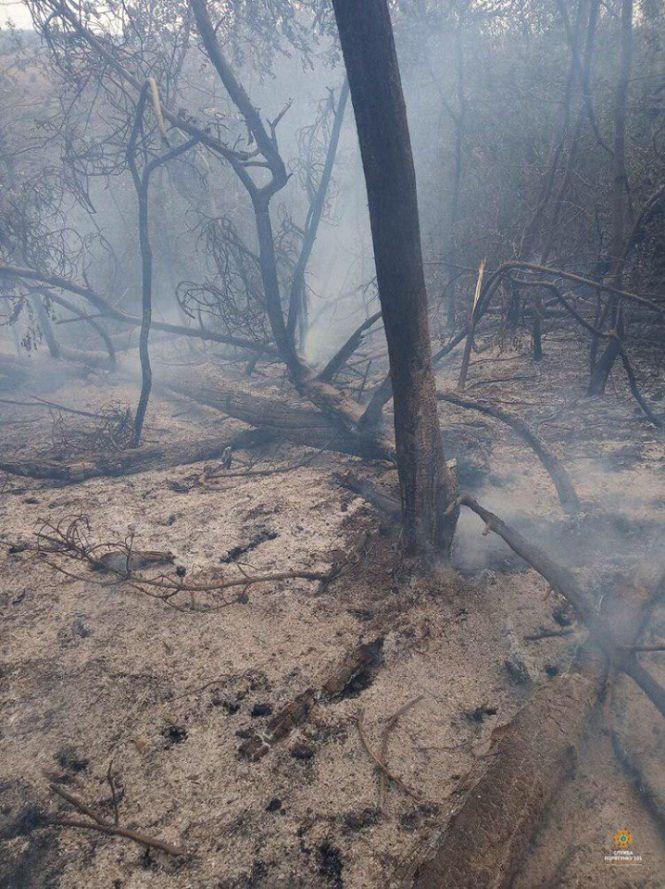 За минулу добу на Тернопільщині вогонь спалив майже 20 га території, фото №2 на сайті 20minut.ua