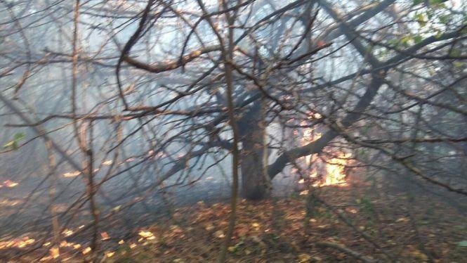 За минулу добу на Тернопільщині вогонь спалив майже 20 га території, фото №1 на сайті 20minut.ua