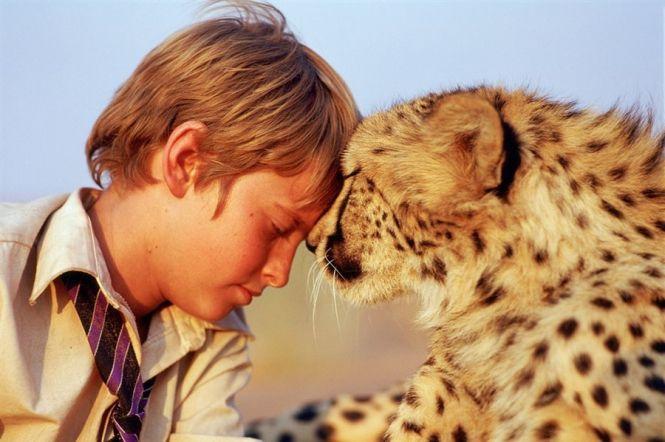 ТОП-5 найкращих фільмів для сімейного перегляду, фото №1 на сайті 20minut.ua