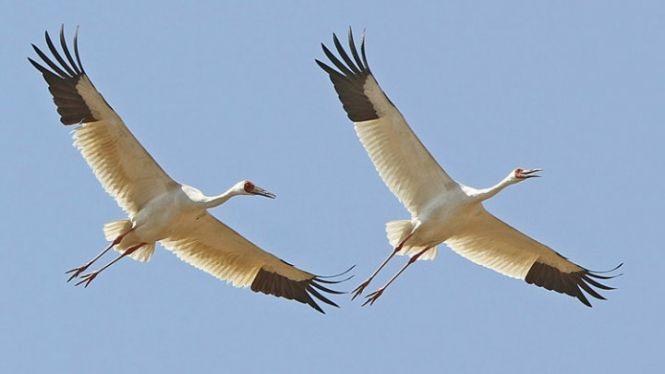 Цей день 13 вересня: чим увійшов в історію, цікавинки та прикмети, фото №3 на сайті 20minut.ua