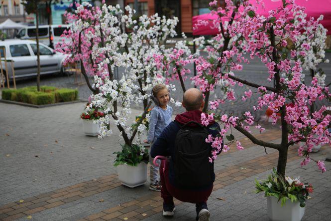 День міста Вінниця: що цікавого вже є на Соборній?, фото №4 на сайті 20minut.ua