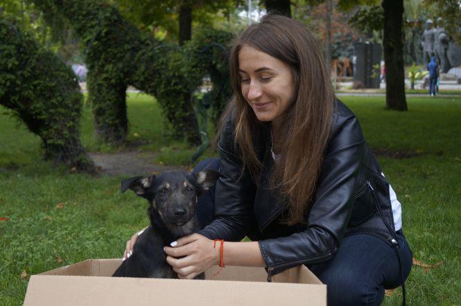 Новини Вінниці - фото з «Чудіка я знайшла в коробці» Як проходить шостий «Хвіст-фест» і кого туди приносять «Чудіка я знайшла в коробці» Як проходить шостий «Хвіст-фест» і кого туди приносять, фото №1 на сайті 20minut.ua