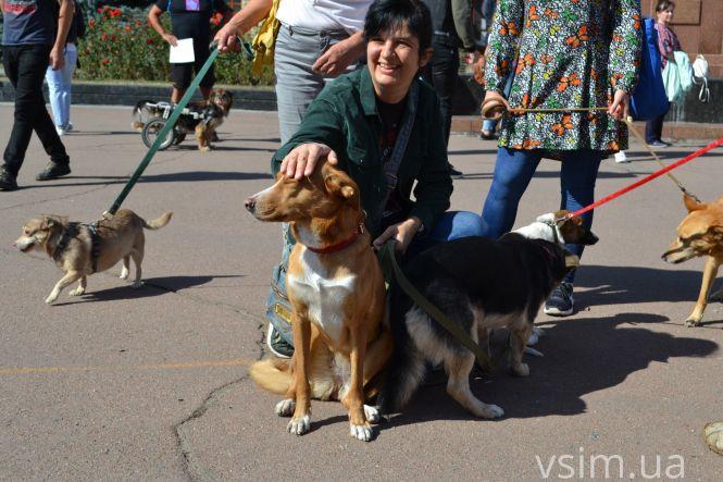 У Хмельницькому пройшов Марш за тварин (ФОТО, ВІДЕО), фото №10 на сайті vsim.ua