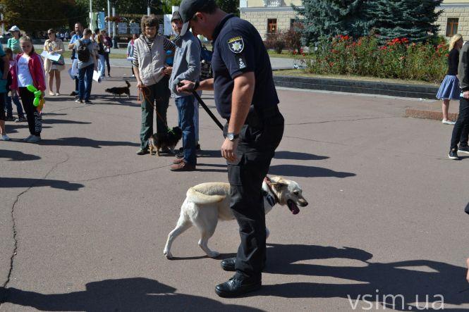 У Хмельницькому пройшов Марш за тварин (ФОТО, ВІДЕО), фото №13 на сайті vsim.ua
