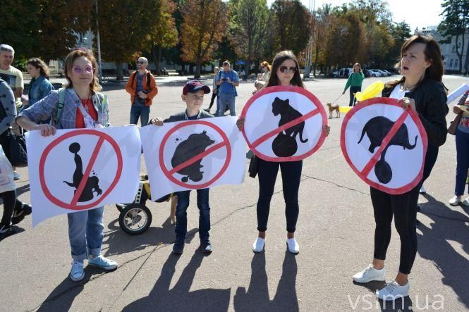 Новини Хмельницького - фото з Від нових тролейбусів до маршу за тварин: ТОП-5 новин тижня у Хмельницькому Від нових тролейбусів до маршу за тварин: ТОП-5 новин тижня у Хмельницькому, фото №4 на сайті vsim.ua