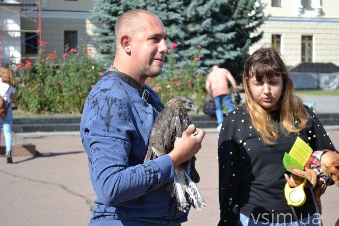У Хмельницькому пройшов Марш за тварин (ФОТО, ВІДЕО), фото №7 на сайті vsim.ua