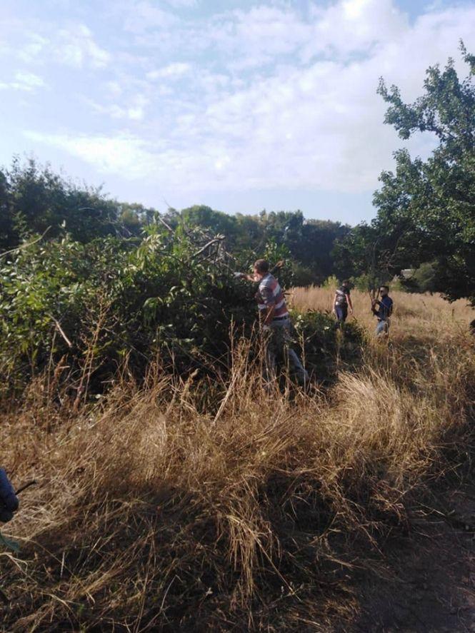 Як козятинчани прибирали околиці міста, фото №3 на сайті 20minut.ua