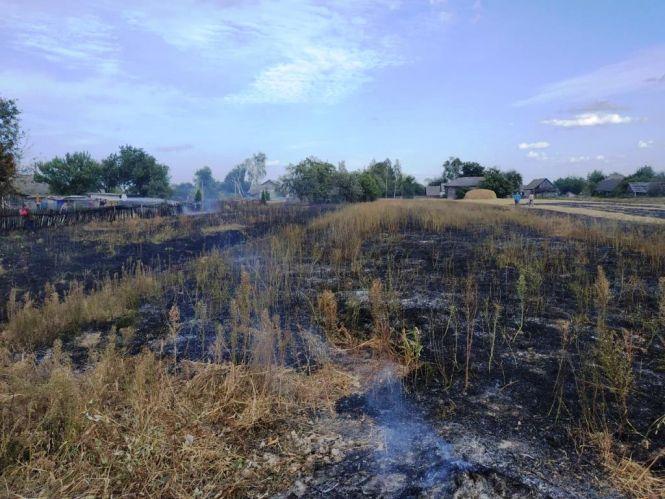 За добу на Житомирщині ліквідовано 21 загоряння сухотрав’я, вогнем пройдено 44 га території, фото №2 на сайті 20minut.ua