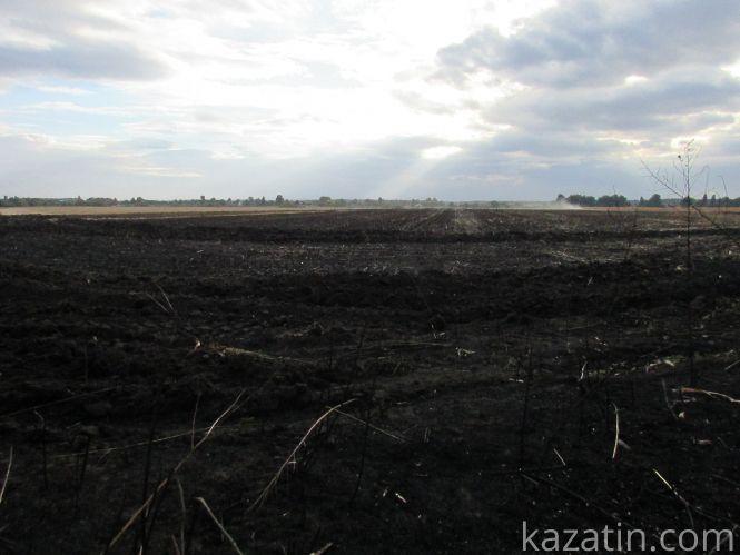 Новини Козятина - фото з В Флоріанівці та в Сигналі горіли поля (ФОТО) В Флоріанівці та в Сигналі горіли поля (ФОТО), фото №4 на сайті 20minut.ua