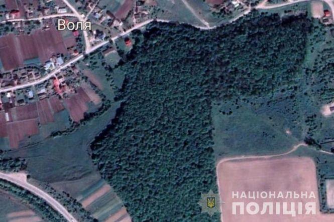 На Теребовлянщині вбили 18-річну дівчину. Колишній хлопець десять разів вдарив її ножем, фото №3 на сайті 20minut.ua