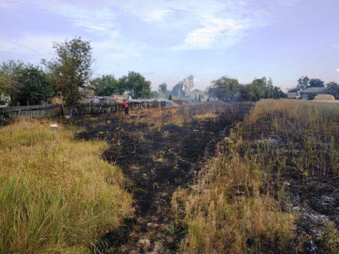 За добу на Житомирщині ліквідовано 21 загоряння сухотрав’я, вогнем пройдено 44 га території, фото №1 на сайті 20minut.ua