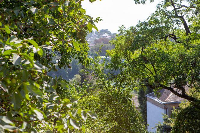 Новини Вінниці - фото з Підпільне життя «дачі Майка» Як дім на Коріатовичів пережив графів та нацистів Підпільне життя «дачі Майка» Як дім на Коріатовичів пережив графів та нацистів, фото №2 на сайті 20minut.ua