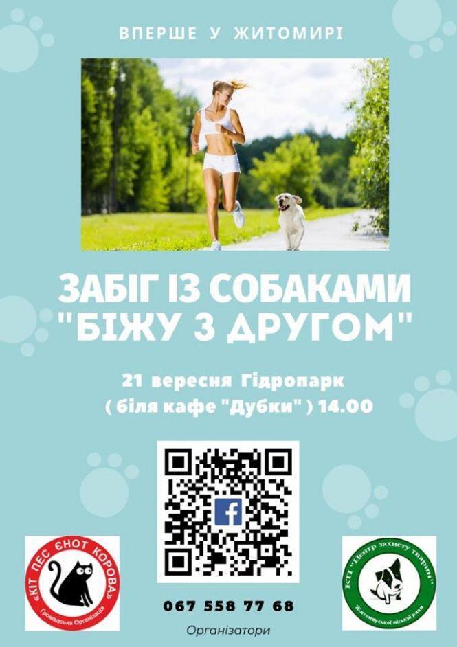 Новини Житомира - фото з Цієї суботи у Житомирі - перший забіг із собаками «Біжу з другом» Цієї суботи у Житомирі - перший забіг із собаками «Біжу з другом», фото №1 на сайті 20minut.ua