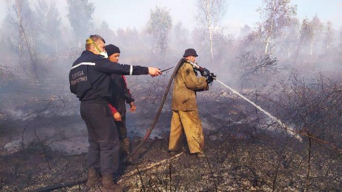 Новини Житомира - фото з В Олевському районі горить 3 гектари торфовища В Олевському районі горить 3 гектари торфовища, фото №3 на сайті 20minut.ua