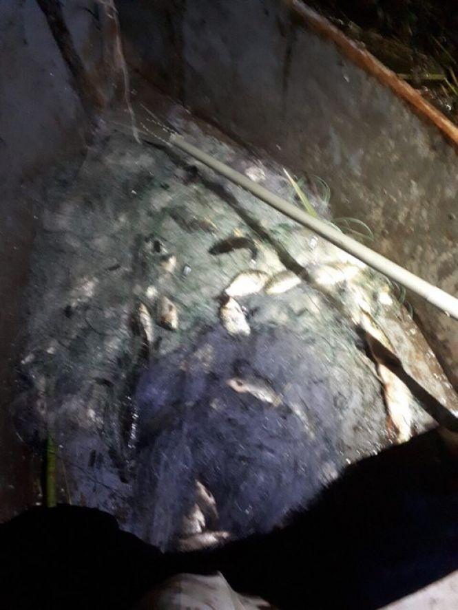 Новини Тернополя - фото з На Тернопільщині браконьєри наловили сітками карася та щуки на 9 тисяч гривень На Тернопільщині браконьєри наловили сітками карася та щуки на 9 тисяч гривень, фото №2 на сайті 20minut.ua