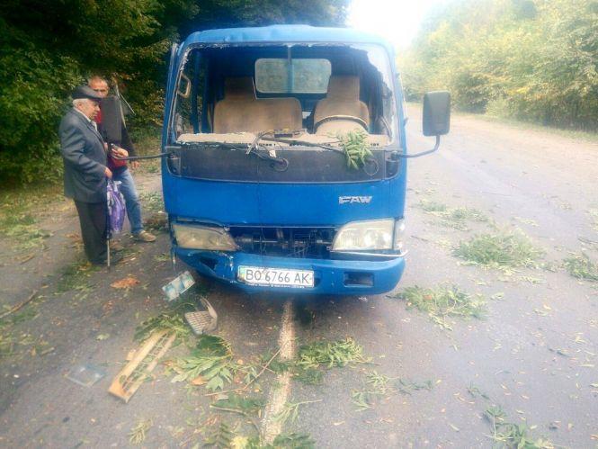 На Тернопільщині посеред дороги на авто впало дерево. Що робити у таких випадках?, фото №1 на сайті 20minut.ua