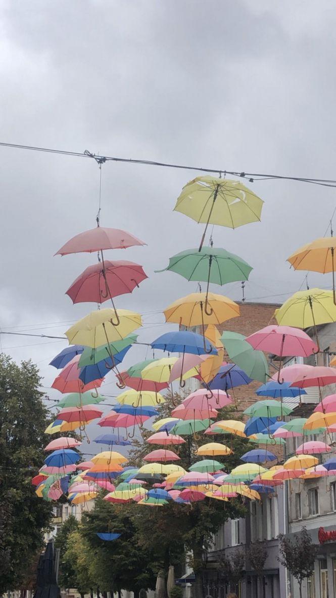 Новини Житомира - фото з У «Зеленбуді» пояснили, чому не закрили парасольки на Михайлівській. ФОТО У «Зеленбуді» пояснили, чому не закрили парасольки на Михайлівській. ФОТО, фото №2 на сайті 20minut.ua