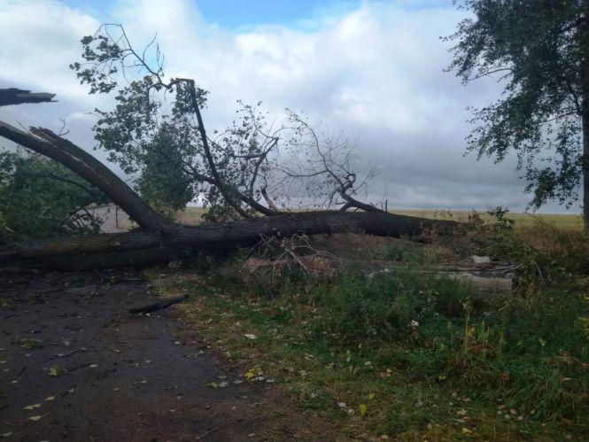 Штормовий вітер наробив лиха по всій області, фото №1 на сайті 20minut.ua