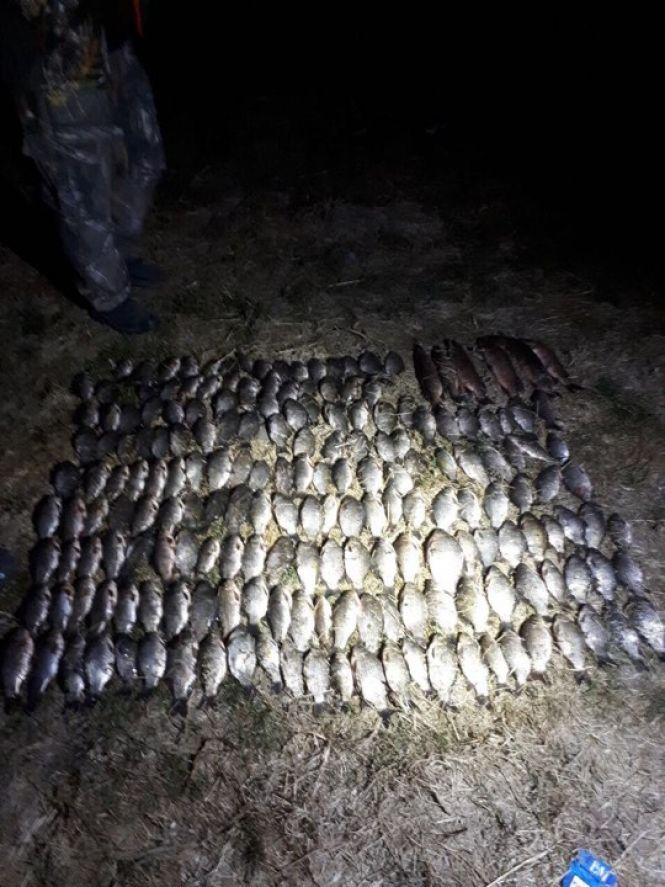 Новини Тернополя - фото з На Тернопільщині браконьєри наловили сітками карася та щуки на 9 тисяч гривень На Тернопільщині браконьєри наловили сітками карася та щуки на 9 тисяч гривень, фото №1 на сайті 20minut.ua