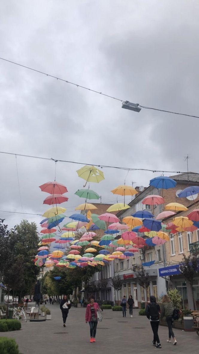 Новини Житомира - фото з У «Зеленбуді» пояснили, чому не закрили парасольки на Михайлівській. ФОТО У «Зеленбуді» пояснили, чому не закрили парасольки на Михайлівській. ФОТО, фото №1 на сайті 20minut.ua