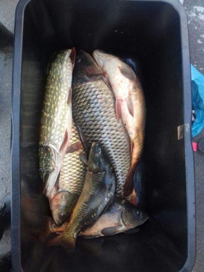 Новини Хмельницького - фото з На Хмельниччині незаконно виловлюють рибу та раків На Хмельниччині незаконно виловлюють рибу та раків, фото №1 на сайті vsim.ua