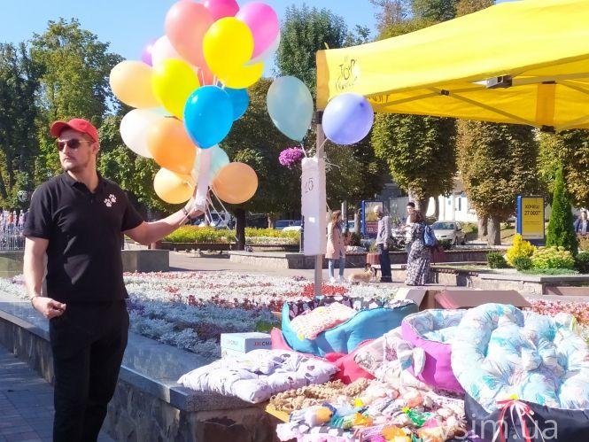 На Проскурівській стартував благодійний ярмарок для допомоги тваринам. Що продають, фото №2 на сайті vsim.ua