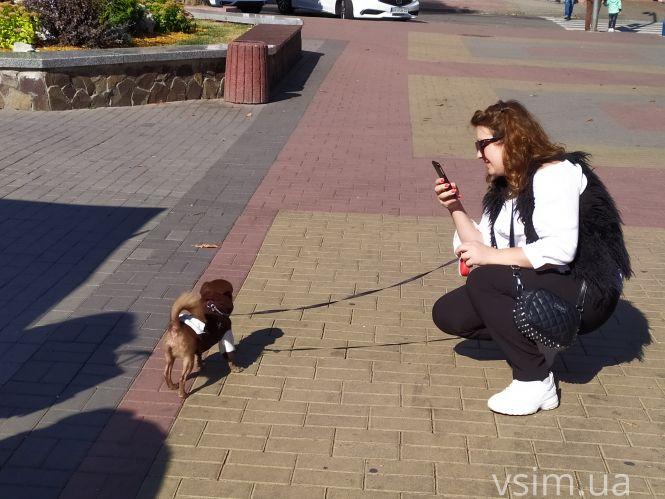 На Проскурівській стартував благодійний ярмарок для допомоги тваринам. Що продають, фото №9 на сайті vsim.ua