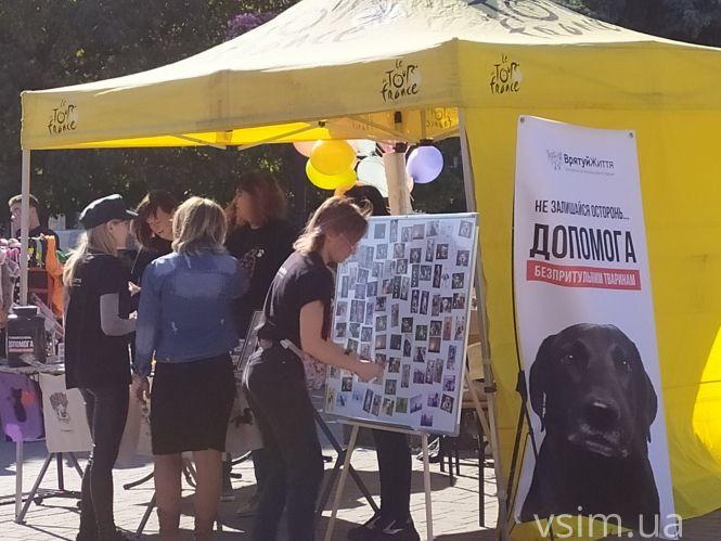 На Проскурівській стартував благодійний ярмарок для допомоги тваринам. Що продають, фото №7 на сайті vsim.ua