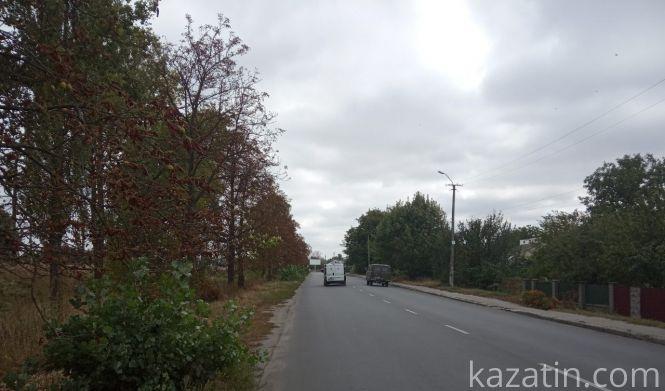 Новини Козятина - фото з Фото дня: у Козятині зацвіли каштани Фото дня: у Козятині зацвіли каштани, фото №1 на сайті 20minut.ua