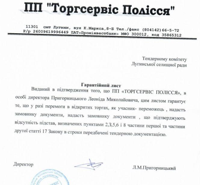 Бюджетні гроші для партнера з партії «Єдина Росія» Володимира Путіна, фото №3 на сайті 20minut.ua