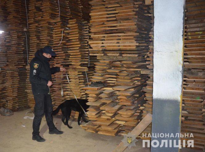 Під час розслідування справи про вбивство поліція виявила у Коростенському районі підпільну пилораму, фото №2 на сайті 20minut.ua