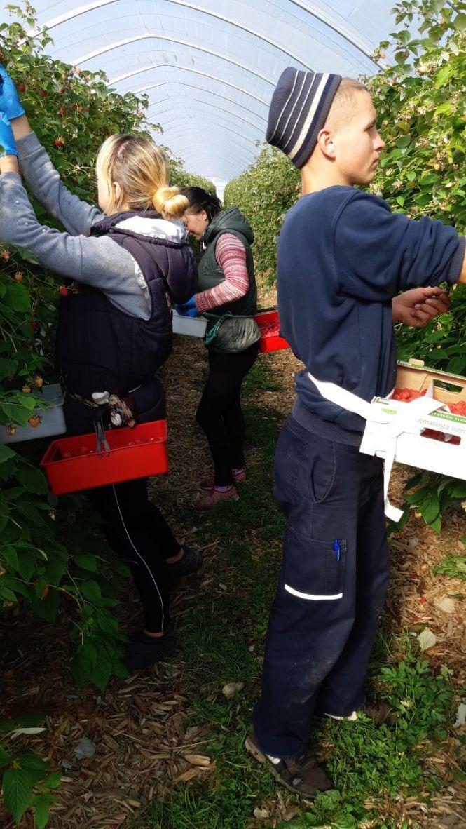 Новини Вінниці - фото з Вінничанин у Фінляндії потрапив в аварію. Його рятують в кращій клініці країни. Що кажуть лікарі? Вінничанин у Фінляндії потрапив в аварію. Його рятують в кращій клініці країни. Що кажуть лікарі?, фото №2 на сайті 20minut.ua