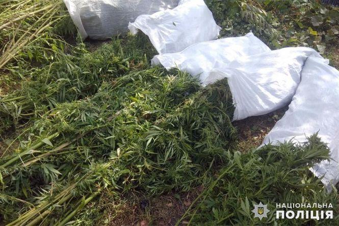 На Хмельниччині селянин зберігав дома міну та мішки із наркотичним "зіллям", фото №2 на сайті vsim.ua