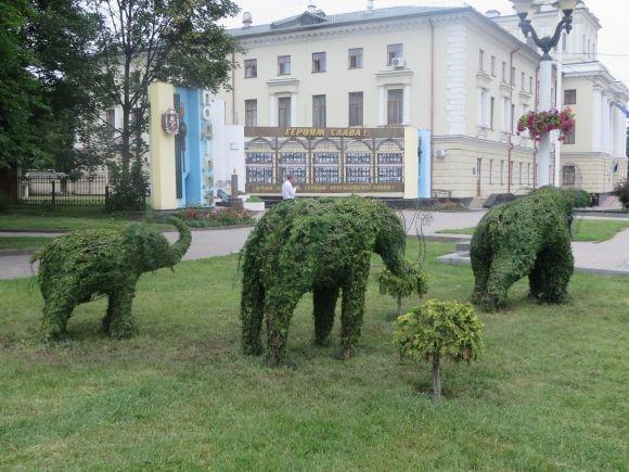 Новини Хмельницького - фото з “Ту гидоту вже прибрали”: що кажуть комунальники про штучні прикраси на слонах в центрі Хмельницького “Ту гидоту вже прибрали”: що кажуть комунальники про штучні прикраси на слонах в центрі Хмельницького, фото №1 на сайті vsim.ua