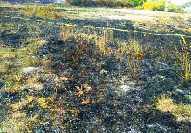У північних районах області згоріло 10 га сухостою, фото №1 на сайті 20minut.ua