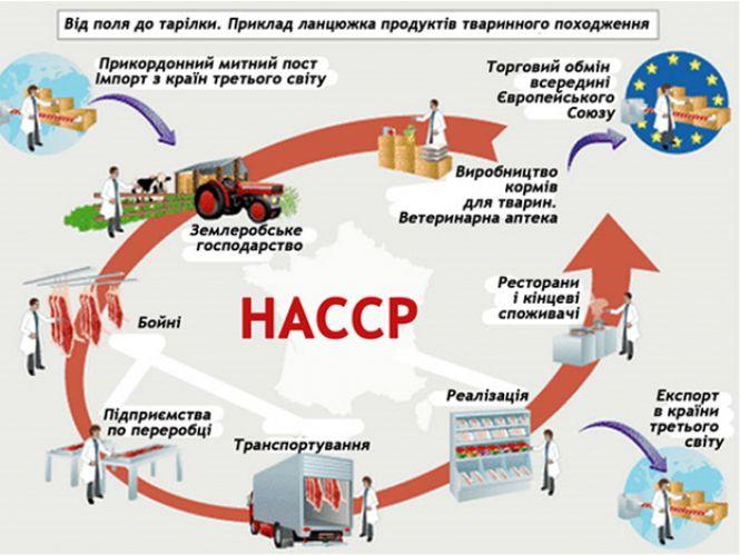 Як впроваджують якісне харчування в школах та дитсадках, фото №1 на сайті 20minut.ua