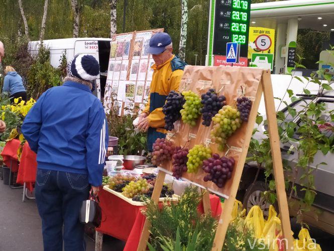Сільськогосподарський ярмарок на Прибузькій: що продають і які ціни, фото №9 на сайті vsim.ua