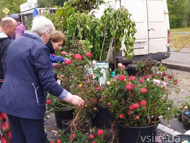 Сільськогосподарський ярмарок на Прибузькій: що продають і які ціни, фото №13 на сайті vsim.ua